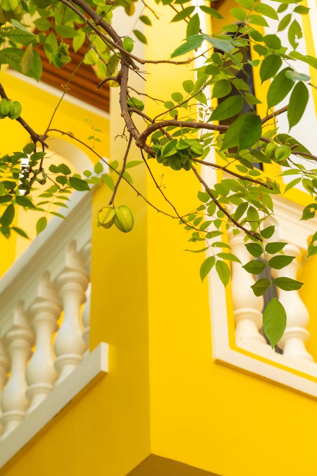 Quyen'S House Homestay הוי אן מראה חיצוני תמונה